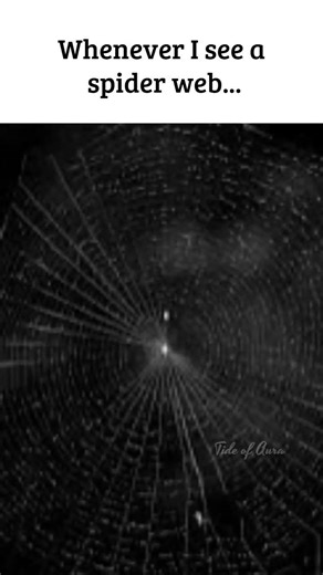 Whenever I see a spider web...🤣 #shorts #memes #funny #spiderman