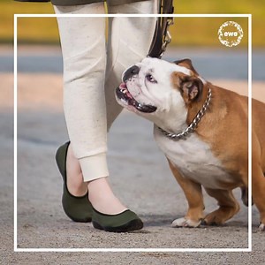 Every day is a perfect day to feel the Easy Walk Experience. How...