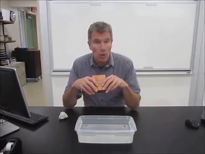 Isostatic equilibrium