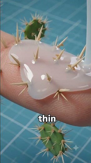 How To Remove Cactus Spines 🌵