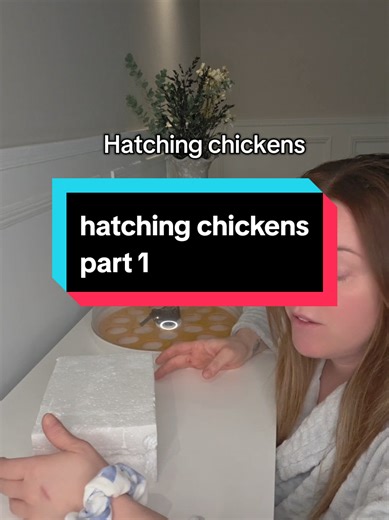 Documenting the Incubating Process: Hatching Chickens Part 1
