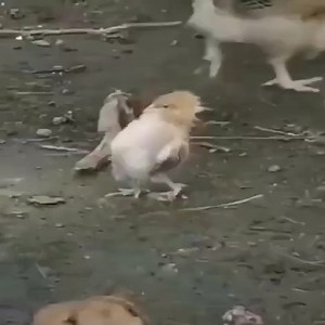 114K views · 857 reactions | Everyone has their own path | Fishing Skill TV | Facebook