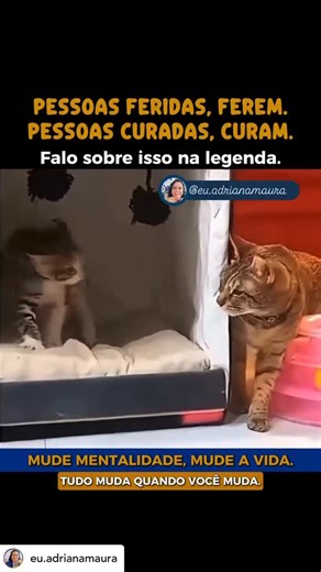 Nakahati | Hipnose / Terapia on Instagram: "5 comportamentos que se manifestam na vida adulta quando alguém foi muito ferido emocionalmente na infância: 1️⃣ Reage antes de confiar: O corpo entra em alerta rápido porque, em algum momento, se aproximar significou perigo. 2️⃣ Confunde cuidado com ameaça: Quando o afeto veio misturado com dor, a mente aprende a se defender até do que é bom. 3️⃣ Testa limites o tempo todo: Ataca, recua, provoca — não por maldade, mas para ver se o outro vai embora ta