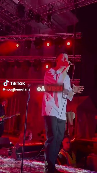 THE SONG OF THIS SUMMER#themotans #themotansmusic @The Motans #fyp TikTok