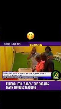 Funeral-style farewell for a dog named 'BABES' in Jamaica