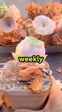 My Card Was Drained. $27,900 Gone