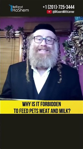 Why Is It Forbidden To Feed Pets Meat and Milk? #Torah #shorts
