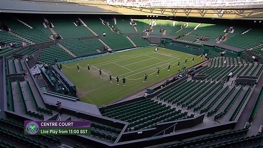 387K views · 159 shares | BREAKING: World’s largest snake discovered at #Wimbledon. Emergency call has been made to Rufus the Hawk. | Wimbledon | Facebook