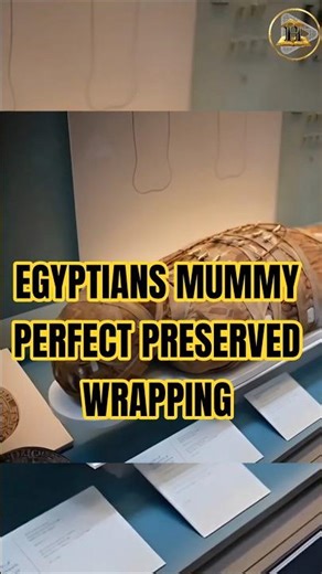 Egyptian Mummy Perfect Preserved Wrapping #mummy #ginger #ancientegypt #egyptianmummy