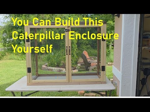 Easy DIY Caterpillar Habitat Anyone Can Make!