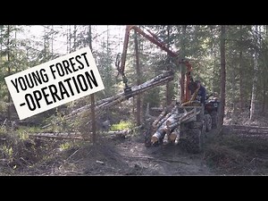 HAULING FIREWOOD with ATV