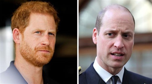 Prince Harry, Prince William ‘text exchange’ details laid bare