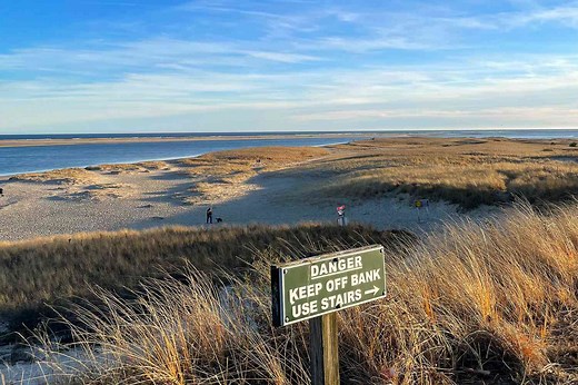 19 Best Things to Do on Cape Cod—From Whale Watching to Wine Tasting