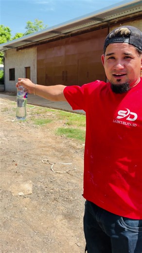 La Escuelita SD: contexto, parte 4 y lo que buscan