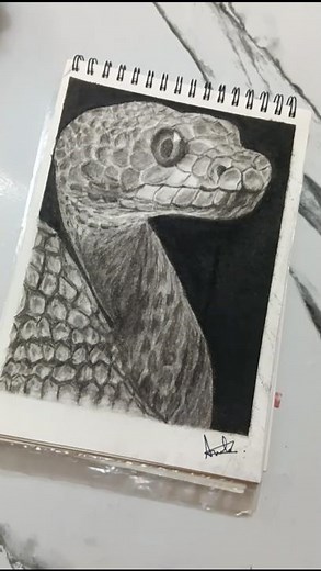 hyper realistic snake drawing 🐍 #snakesketch #hyperrealistic #charcoal sketch #realisticdrawing