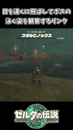 泳ぐスタルヒノックスを観察するリンクｗｗ【ゼルダの伝説 ティアーズ オブ ザ キングダム】