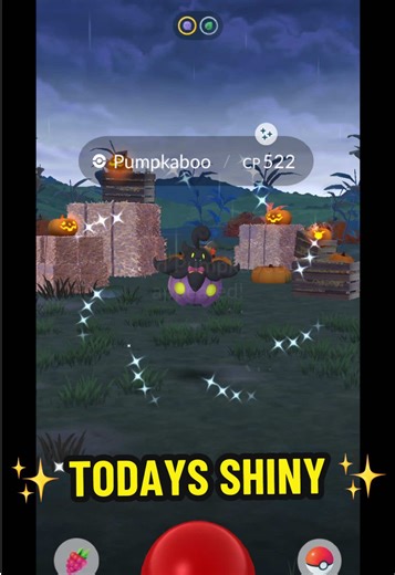 ✨ TODAYS SHINY ✨ - HALLOWEEN EVENT SHINY PUMPKABOO💪 🎃. #pokemongo #pokemon #pokemontiktok #pokemoncommunity #halloween2025