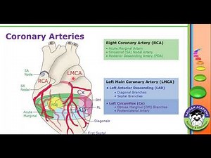 HCGTV: Webinar - Body Parts, Devices, and Qualifiers, Oh My! ICD-10-PCS Coding for Coronary Bypass