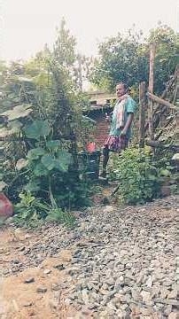 Ajab dance Sambalpuri geet re dance hauchhe# dance# youtube#short video