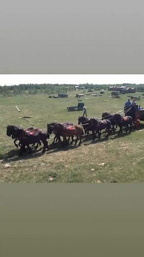 14K views · 295 reactions | Neil Dimmock on Reels | Facebook