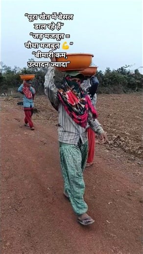 गोबर खाद में Pseudomonas + Trichoderma 🍌