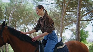Gentle Horsewoman Stroking Stallion in Saddle at Forest. Girl Touching Horse Stock Video - Video of lady, garden: 340720563