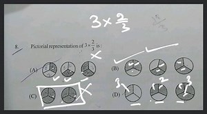 a pictorial representation of data... | Filo