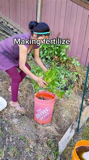 Homemade Organic Compost Tea 🌱#OrganicGardening #CompostTea #GardenLife