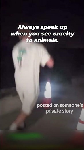 Man Kicks California Sea Lion 😡🦭