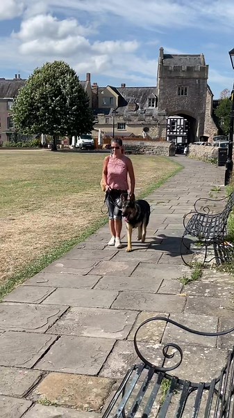 #protectiondoguk #dog #family #protectiondogs #security #k9 #k9protectoruk #worldwide #dogtraining #fyp #getmanshepherd #dogsoftiktok #workingdog #protection #k9unit