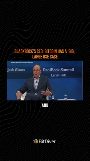 BlackRock CEO: ‘I See a Big, Large Use Case for Bitcoin’
