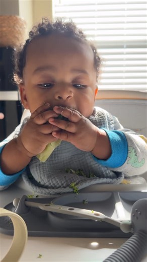 Bayli Hill on Instagram: "first time trying broccoli 🥦 #firsttimemom #blw #babyledweaning #startingsolids #fivemonthsold"