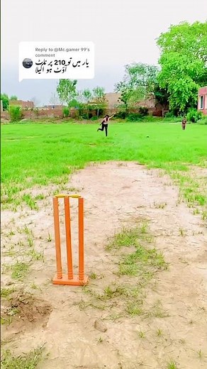 Much highest score in cricket: How they achieved it🏏❤️😮