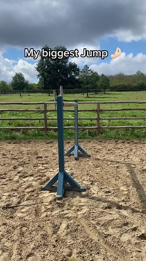 😆😆 Lightning the best jumping pony ever 😂❤️ #equestrian #horses #pony #funny #horseriding #showjumping