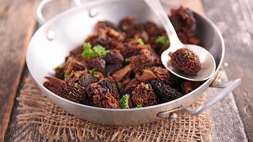 Comment cuire des morilles ?