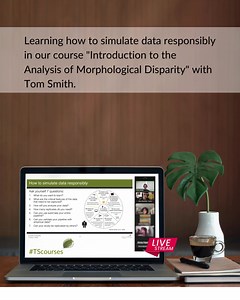 Last week we learned how to simulate data responsibly in our course "Introduction to the Analysis of Morphological Disparity" with Tom Smith. https://www.transmittingscience.com/courses/evolution/introduction-to-the-analysis-of-morphological-disparity/#toggle-id-1-closed #KeepLearning #TScourses | Transmitting Science | Facebook