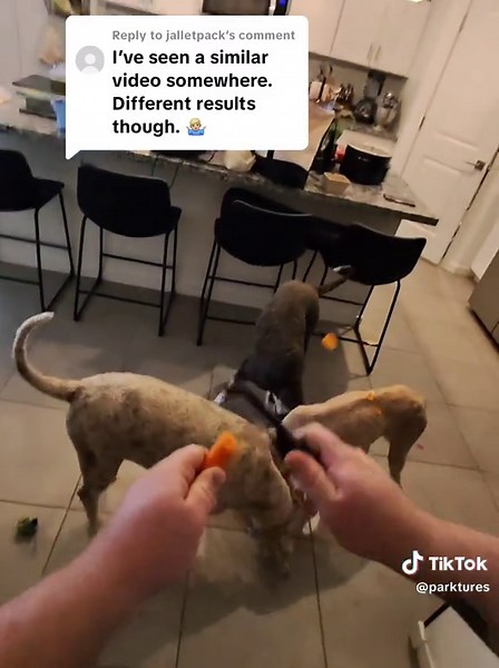 Engaging Example: Replying to Jalletpack's Query