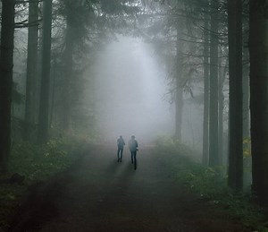 Eyewitness Summary, Trailer, Season List, Cast, Where to Watch and More