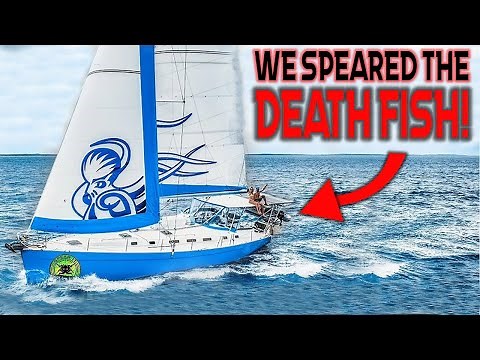 We Were POISONED! SAILBOAT Spear-It-Animal Meets Captain Jack Spearo!