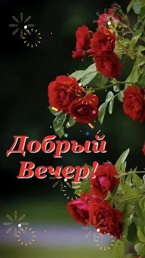 Beautiful Flower Compilation with Sparkling Animations