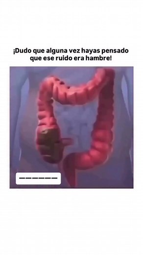 ¿Qué son estos ruidos del estómago cuando tienes hambre?