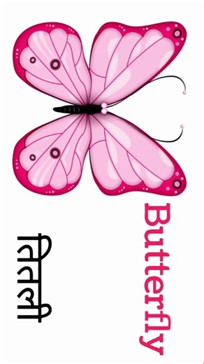 Learn Insects Name with Pictures | Kids Learning Shorts