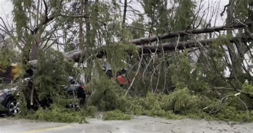 Severe storms leave flooding, wind damage across Illinois