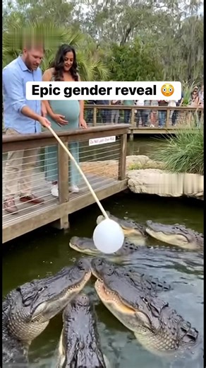 Where does it end? 😆 | Story House