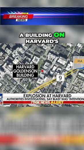 429K views · 3.1K reactions | Authorities are investigating an explosion inside a building on Harvard's medical school campus. The blast, which occurred early this morning, is believed to be intentional. Police have released images of two potential suspects captured on security cameras. #FBIInvestigation #Harvard #MedicalSchool #Explosion #BreakingNews | Conservative News Daily | Facebook