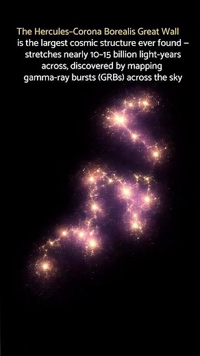 The Largest Structure of the Universe