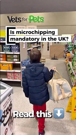 Microchipping the cat?