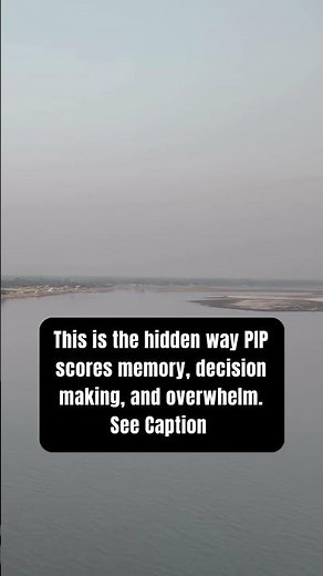 The Hidden Way PIP Scores Memory, Decision Making, and Overwhelm