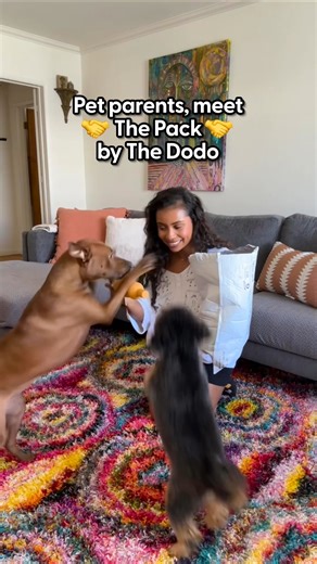 At The Dodo, we’ve spent the last 10 years celebrating animals and the joy they bring ✨ Now, as fellow pet parents, we’re excited to introduce The Pack by The Dodo—a new space where the editors behind The Dodo share must-have products and tips to make pet parenting easier, and even more fun! What products do you want to see us try next? Drop it in the comments 👇 Follow The Pack on Instagram for more: https://thedo.do/thepackbythedodo | The Dodo