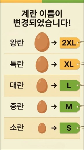 오늘부터 마트에서 '특란' 찾지 마세요! (이름 싹 바뀜)